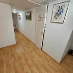 Dab Josika